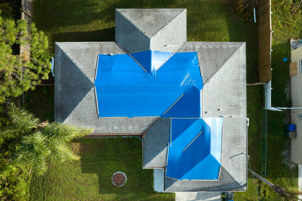 Best 4 Ply Roofing  in Dalhart, TX