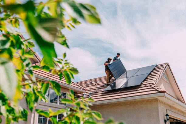 Best Roof Moss and Algae Removal  in Dalhart, TX