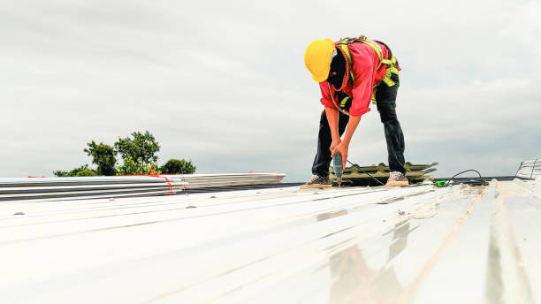 Best Chimney Flashing Repair  in Dalhart, TX